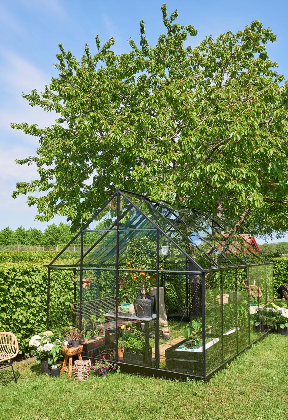 QUBE+ 812 Greenhouse