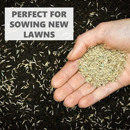G Plants 1Kg Grass Seed Speedy Seed