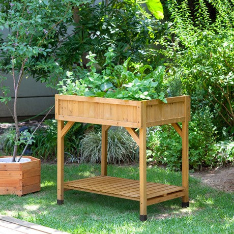 VegTrug Herb Garden Natural