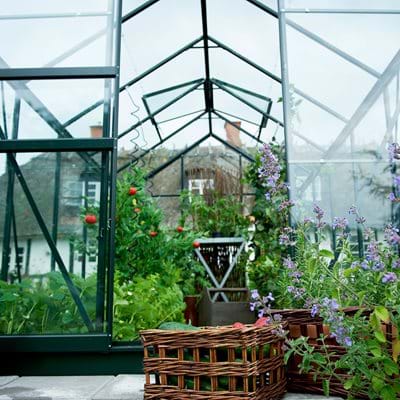 POPULAR 66 6ft x 6ft Greenhouses