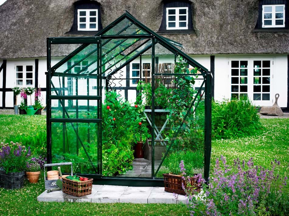 POPULAR 610 6ft x 10ft Greenhouses