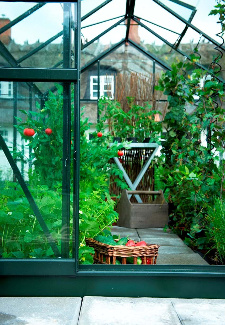 POPULAR 610 6ft x 10ft Greenhouses